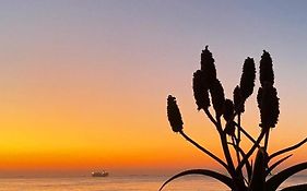 Seaside Serenity